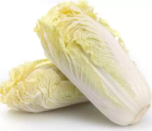 夏季大白菜什么时候种最佳？种植时间全攻略插图1