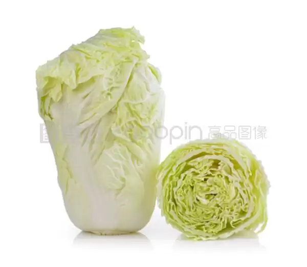 白菜种子哪里买(优质白菜种子购买指南)插图1 白菜种子哪里买(优质白菜种子购买指南)插图1