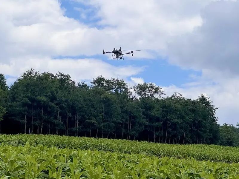 会东县:借低空经济“东风” 绘就智慧农业乡村振兴新画卷插图 会东县:借低空经济“东风” 绘就智慧农业乡村振兴新画卷插图