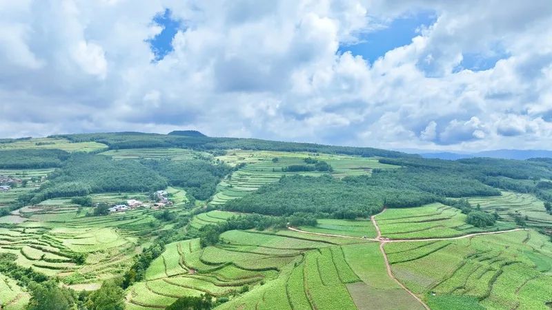 会东县:借低空经济“东风” 绘就智慧农业乡村振兴新画卷插图4 会东县:借低空经济“东风” 绘就智慧农业乡村振兴新画卷插图4