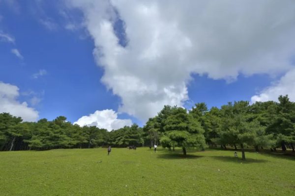 当火把燃情邂逅夏凉,会东邀您共赴三线浪漫清凉之旅-会东网