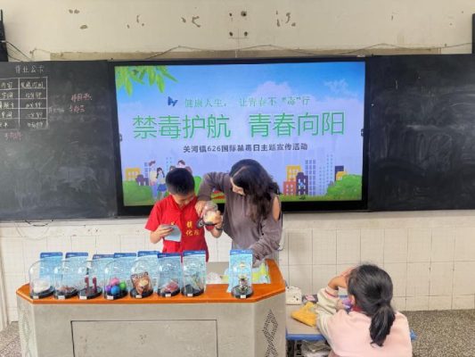 党建领航,会理关河镇奏响禁毒与团结“奋进曲”-会东网