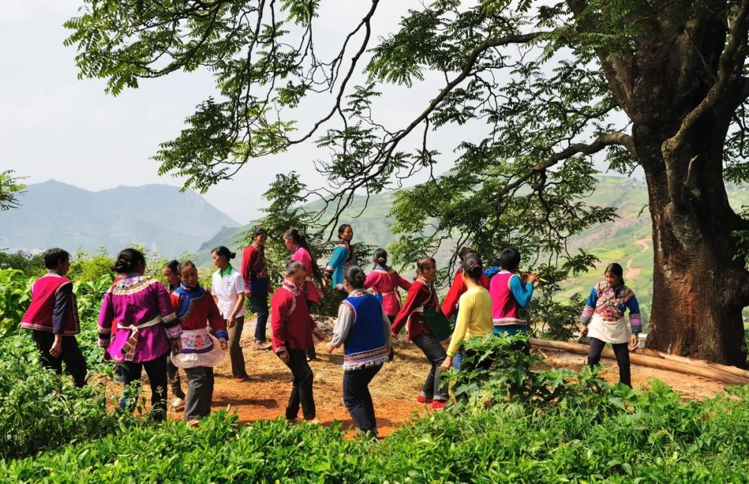 邂逅会东:嘎且且撒勒舞,奏响原始纯粹的乐章插图13 邂逅会东:嘎且且撒勒舞,奏响原始纯粹的乐章插图13