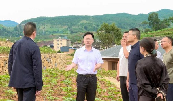 县委书记宋程凡赴姜州镇调研督导:聚焦农文旅融合、工程治理与火把节筹备插图 县委书记宋程凡赴姜州镇调研督导:聚焦农文旅融合、工程治理与火把节筹备插图