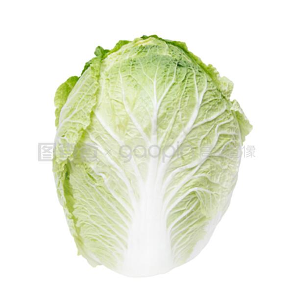 白菜优良品种简介(优质白菜品种全解析)插图1 白菜优良品种简介(优质白菜品种全解析)插图1