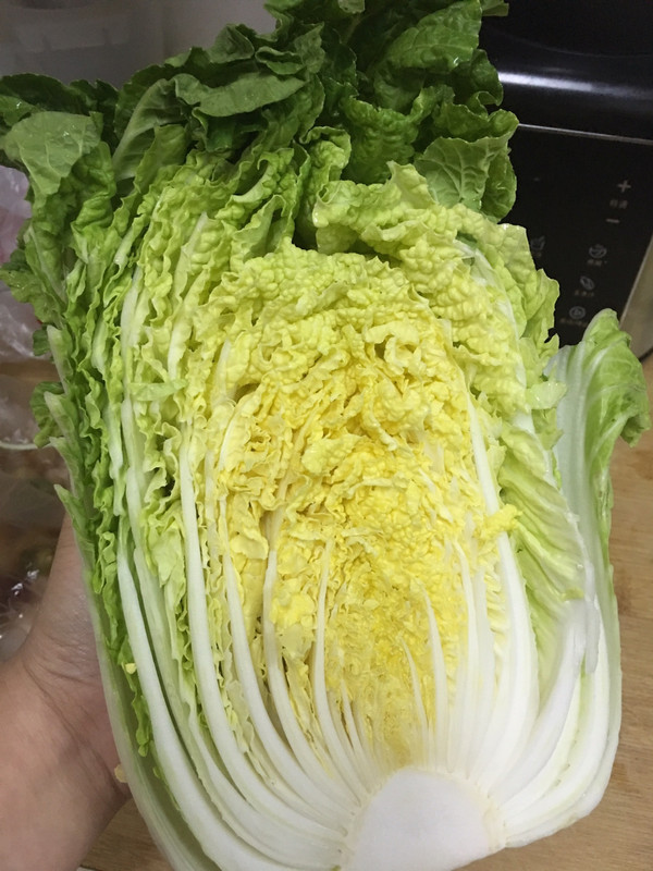 白菜种10克大约多少粒?10克白菜种子数量解析插图2 白菜种10克大约多少粒?10克白菜种子数量解析插图2