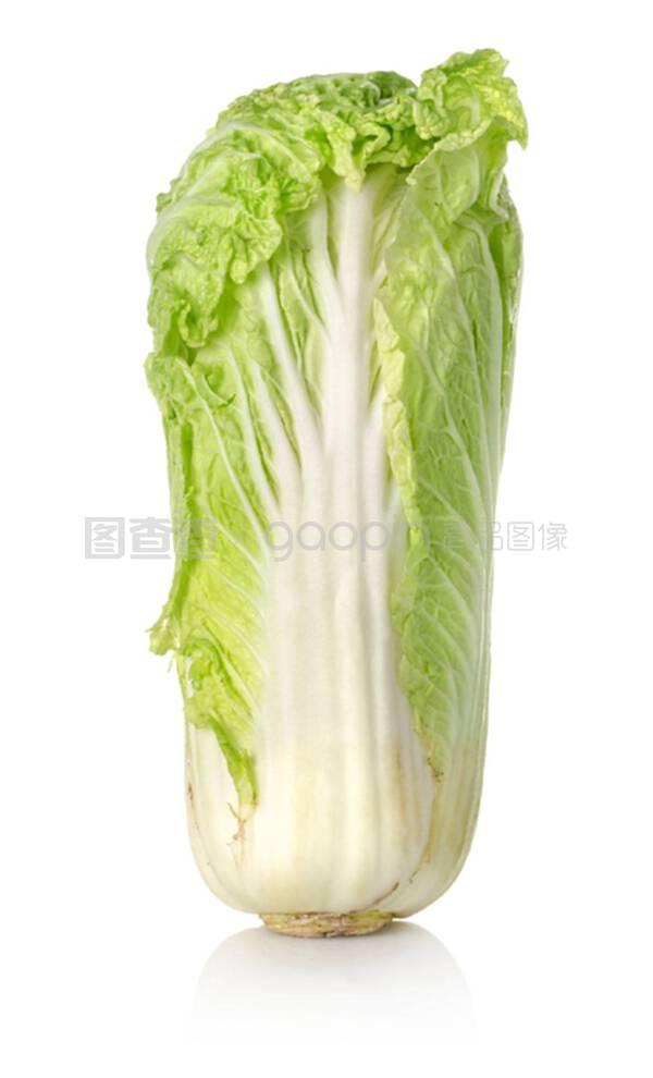 冬季大白菜种植技术全攻略:从选种到收获的完整指南插图1 冬季大白菜种植技术全攻略:从选种到收获的完整指南插图1