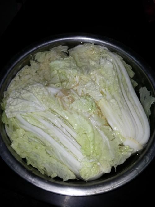 冬季大白菜种植技术全攻略:从选种到收获的完整指南插图2 冬季大白菜种植技术全攻略:从选种到收获的完整指南插图2