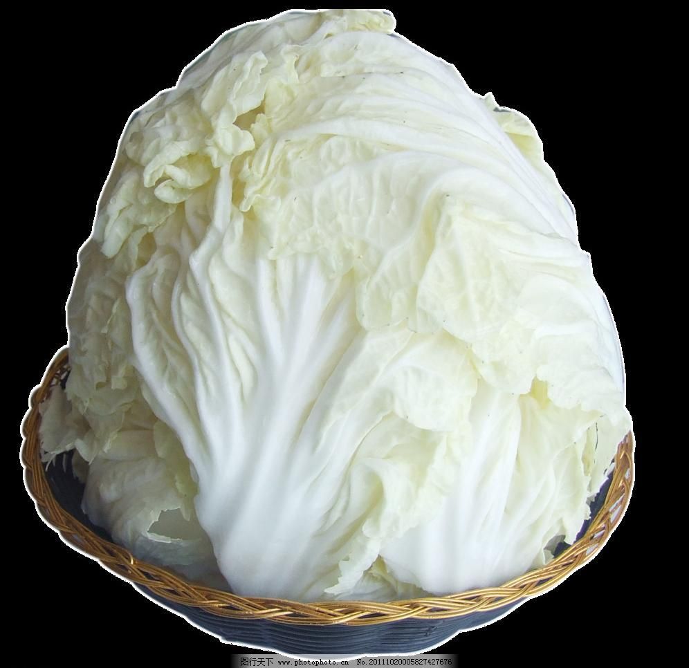 白菜啥时候种合适?最佳种植时间全解析插图1 白菜啥时候种合适?最佳种植时间全解析插图1