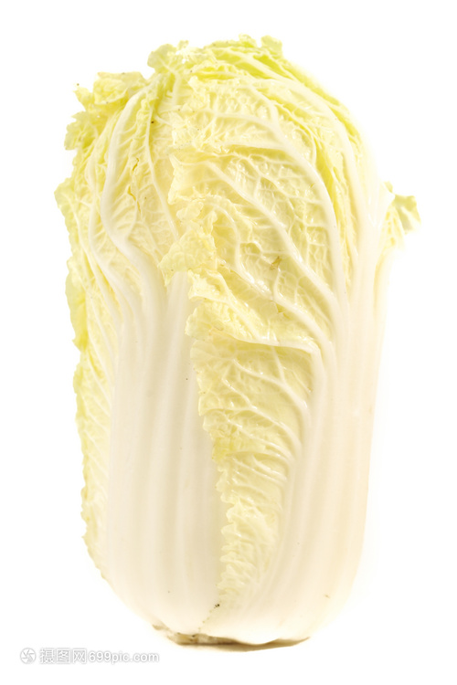 高脚白菜种植时间和方法全解析(附高产技巧)插图2 高脚白菜种植时间和方法全解析(附高产技巧)插图2