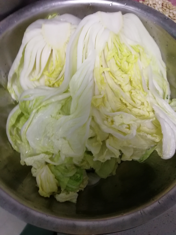 白菜啥时候种合适?最佳种植时间全解析插图2 白菜啥时候种合适?最佳种植时间全解析插图2