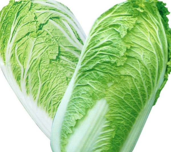 孑小白菜种价格解析:优质菜种选购指南插图2 孑小白菜种价格解析:优质菜种选购指南插图2