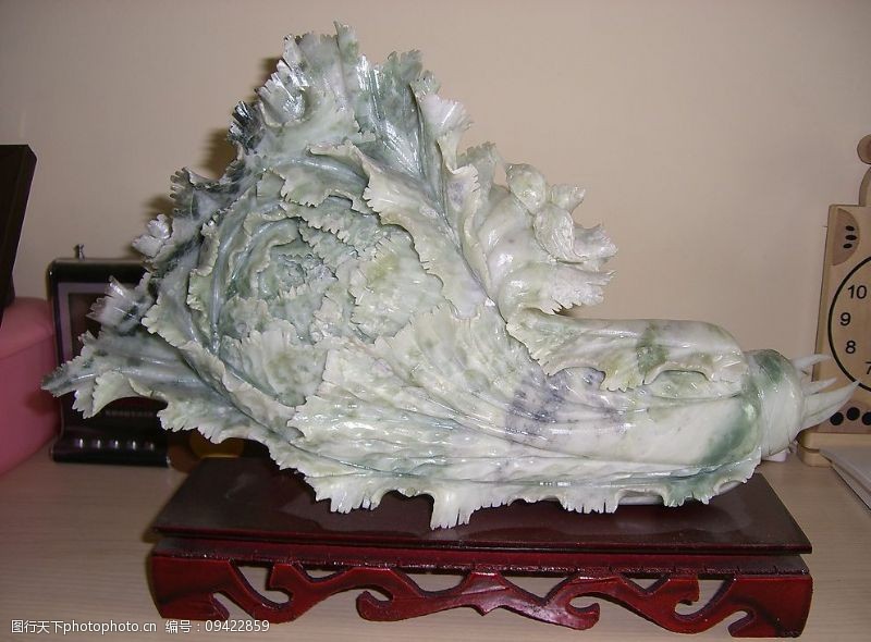 什么时间种秋白菜好?最佳种植时间全解析插图1 什么时间种秋白菜好?最佳种植时间全解析插图1