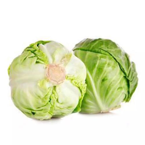 小白菜什么时候种合适？最佳种植时间全解析插图2