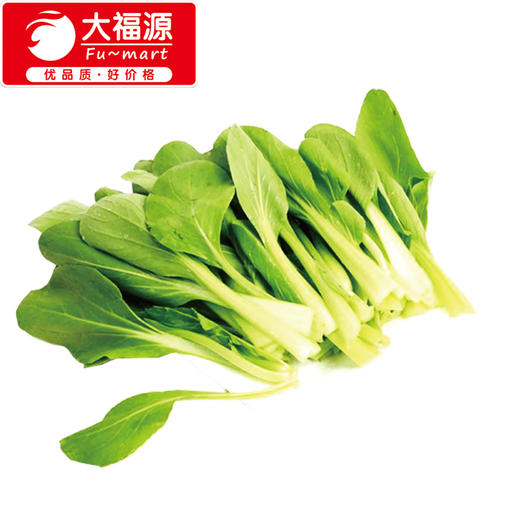 北方种啥白菜品种好?推荐5种高产抗寒白菜插图2 北方种啥白菜品种好?推荐5种高产抗寒白菜插图2