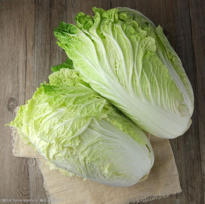 种秋白菜最佳时间:8月下旬至9月上旬最适宜插图1 种秋白菜最佳时间:8月下旬至9月上旬最适宜插图1