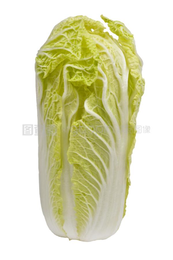 白菜是哪种蔬菜?一文读懂白菜的品种与营养价值插图2 白菜是哪种蔬菜?一文读懂白菜的品种与营养价值插图2