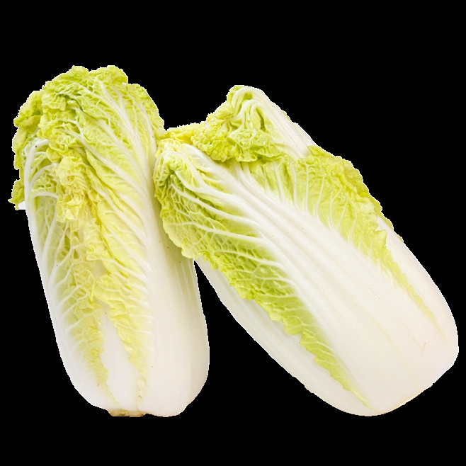 小白菜种子怎么种(小白菜种植全攻略)插图2 小白菜种子怎么种(小白菜种植全攻略)插图2