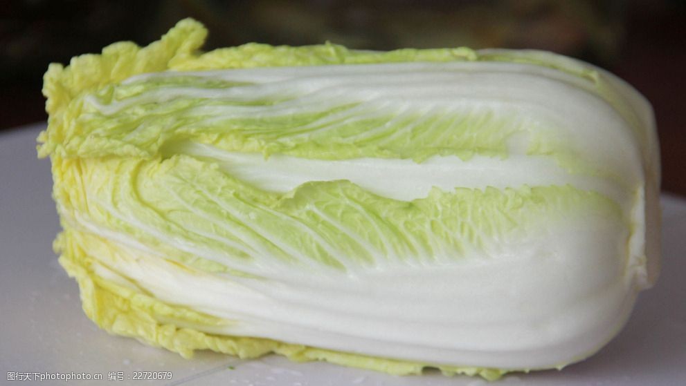 白菜多会种植最合适?最佳种植时间全解析插图1 白菜多会种植最合适?最佳种植时间全解析插图1