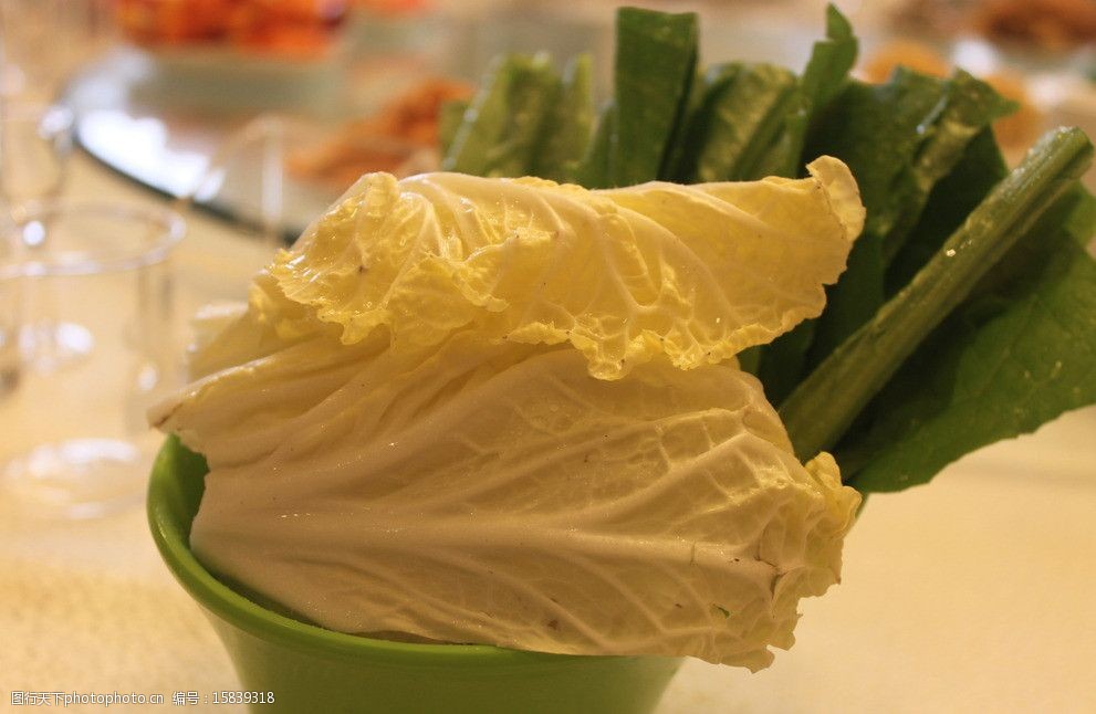 白菜是怎样育种的？揭秘白菜育种全流程与技术要点插图1