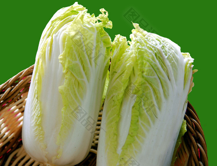 小白菜八月可以种吗?八月种植小白菜全攻略插图1 小白菜八月可以种吗?八月种植小白菜全攻略插图1