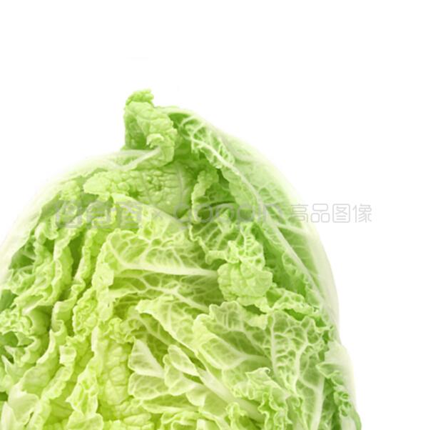 小白菜好种吗？新手种植小白菜全攻略插图2