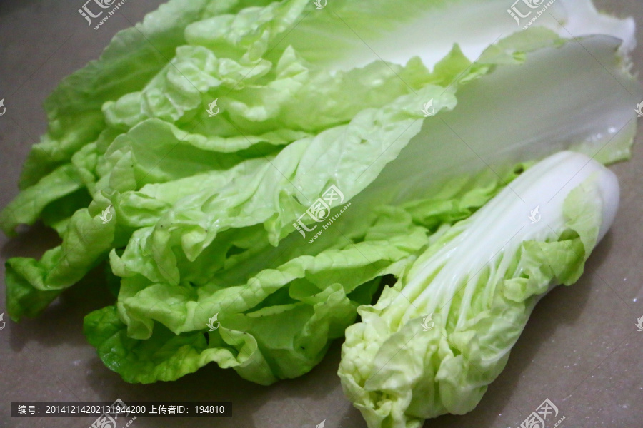 7月份能种白菜吗？7月白菜种植时间及技巧全解析插图2