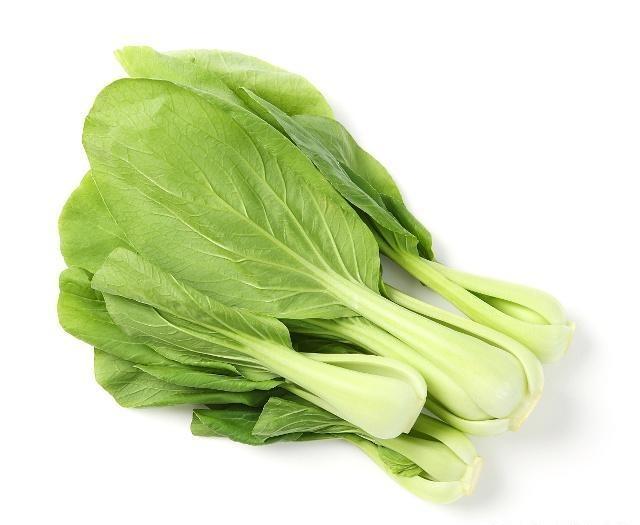 种大白菜间距多少合适(大白菜种植最佳行距解析)插图1