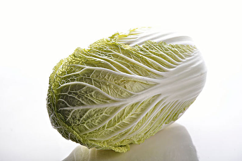 夏白菜的种植方法和时间全解：从选种到收获的完整指南插图1