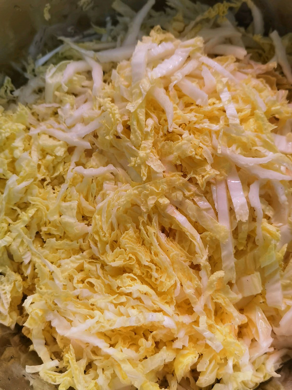 娃娃菜和白菜是一个品种吗?两者区别大解析插图2 娃娃菜和白菜是一个品种吗?两者区别大解析插图2