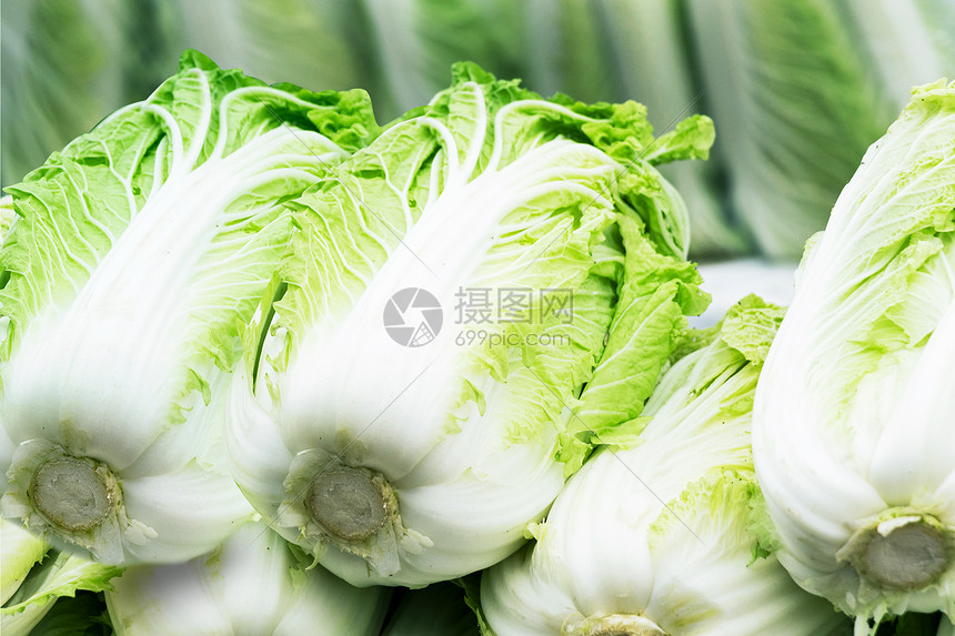 白菜怎么种？从选种到收获的完整种植指南插图2