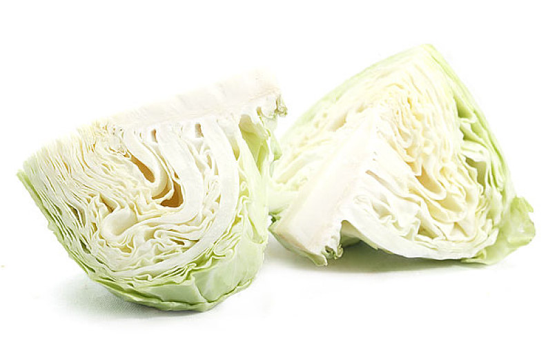 北方白菜什么时候种?最佳种植时间及技巧全解析插图1 北方白菜什么时候种?最佳种植时间及技巧全解析插图1