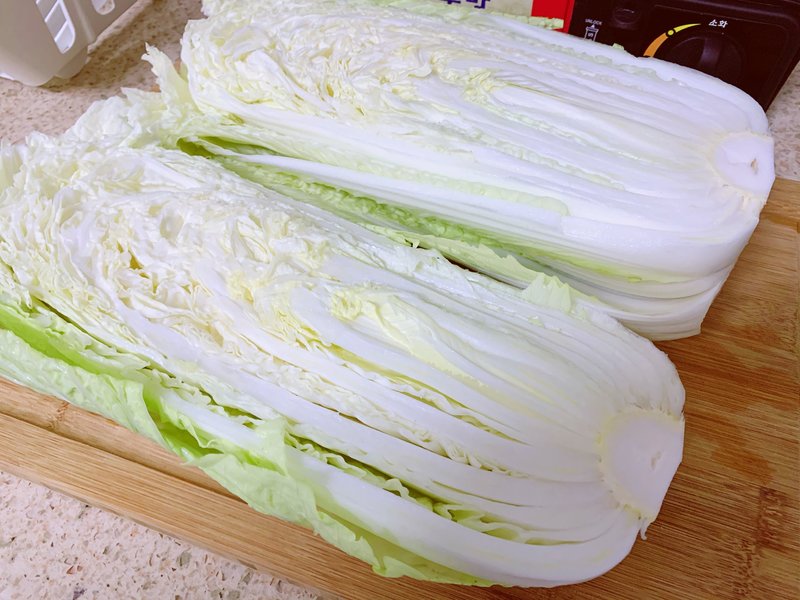 种白菜的地第二年还可以种白菜吗？连作障碍与轮作技巧解析插图1