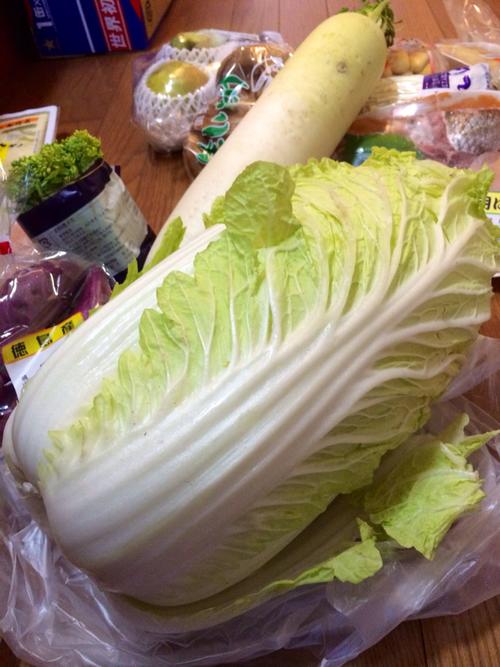 春大白菜种选购指南:高产优质品种推荐插图1 春大白菜种选购指南:高产优质品种推荐插图1