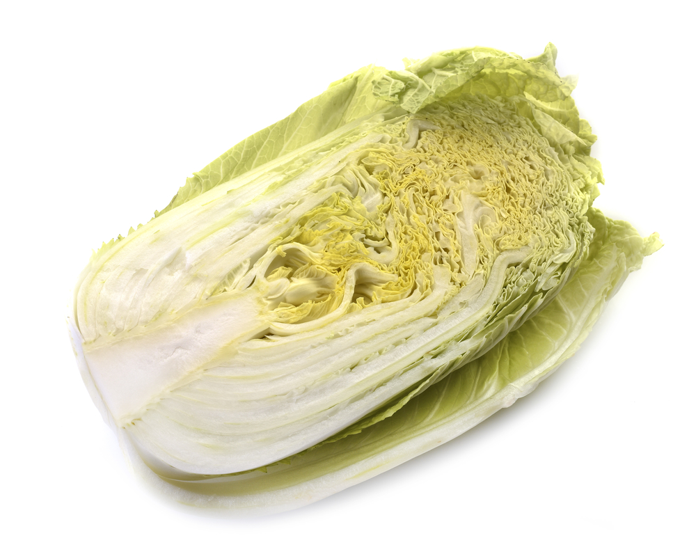 内蒙古什么时候种大白菜?最佳种植时间及技巧全解析插图1 内蒙古什么时候种大白菜?最佳种植时间及技巧全解析插图1