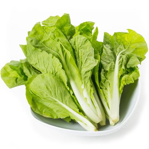 白菜炖汤有几种炖法?5种家常做法大公开插图1 白菜炖汤有几种炖法?5种家常做法大公开插图1