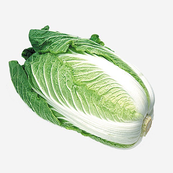 有几种白菜?全面解析白菜品种及选购指南插图2 有几种白菜?全面解析白菜品种及选购指南插图2