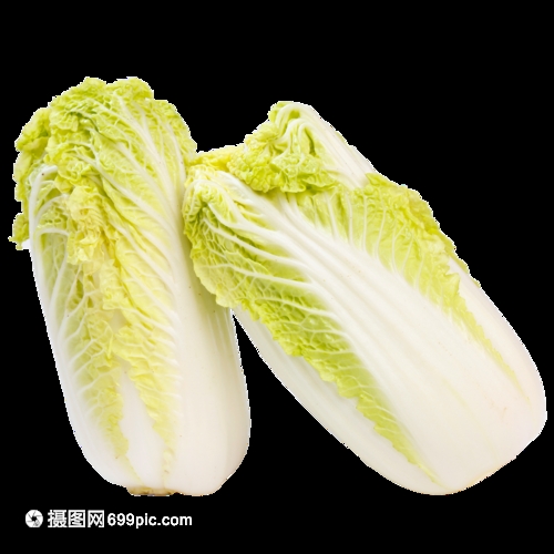 白菜根种白菜:简单易学的再生种植方法插图1 白菜根种白菜:简单易学的再生种植方法插图1