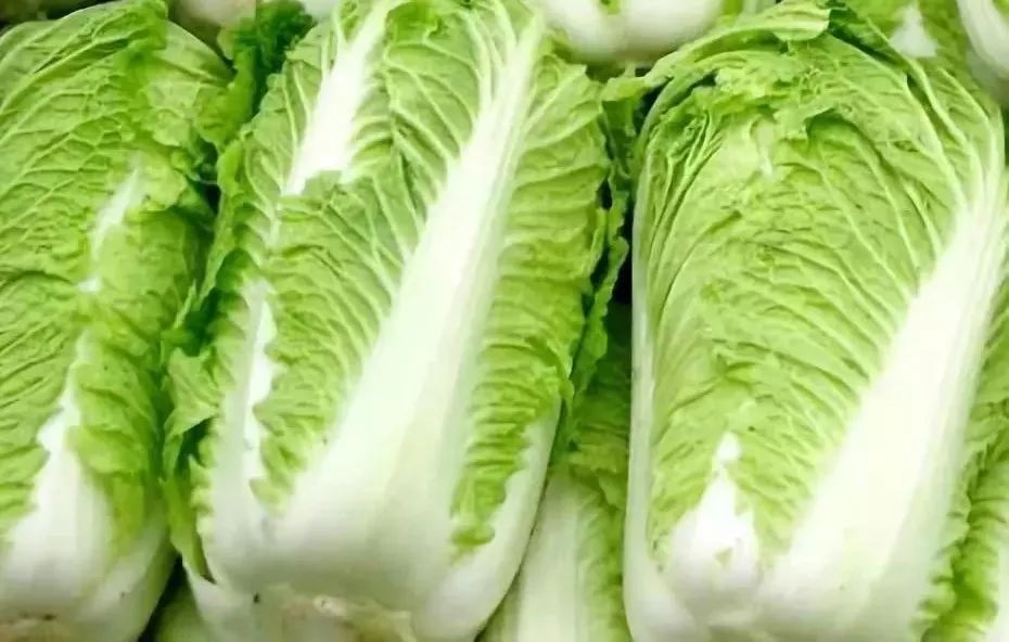 种小白菜的正确方法：从选种到收获的完整指南插图1