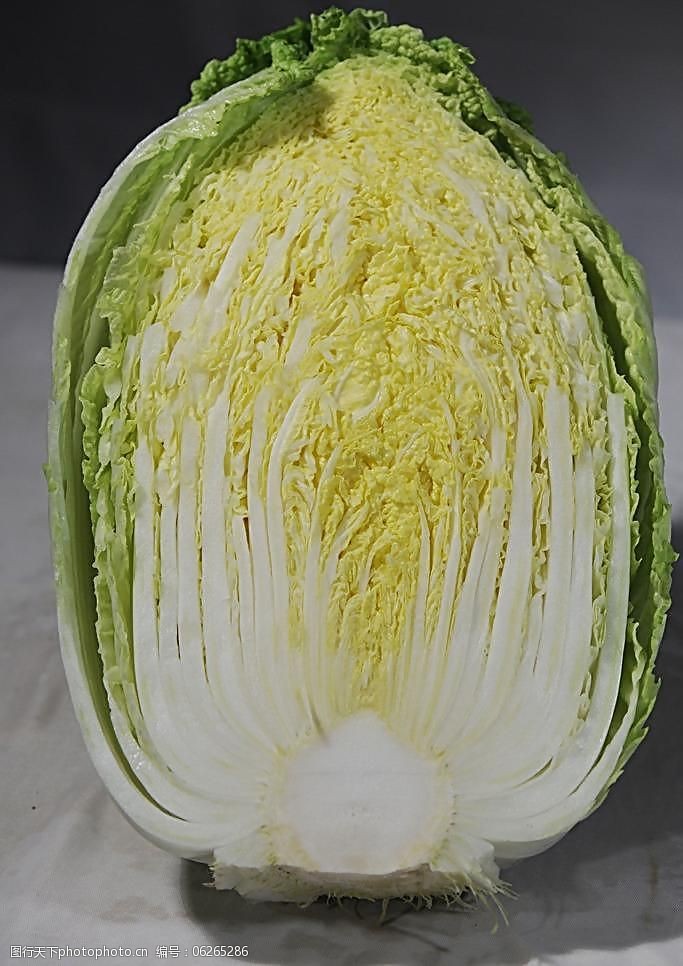 白菜苗的种植方法全解析:从选种到收获的完整指南插图 白菜苗的种植方法全解析:从选种到收获的完整指南插图