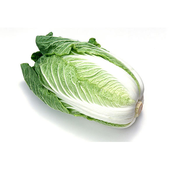 油白菜啥时候种?最佳种植时间及栽培技巧全解析-会东网