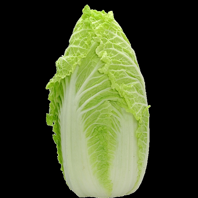 立秋种白菜好吗？最佳种植时间与技巧全解析-会东网