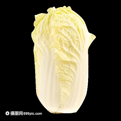 怎样种萝卜白菜:新手入门种植技巧大全插图1 怎样种萝卜白菜:新手入门种植技巧大全插图1