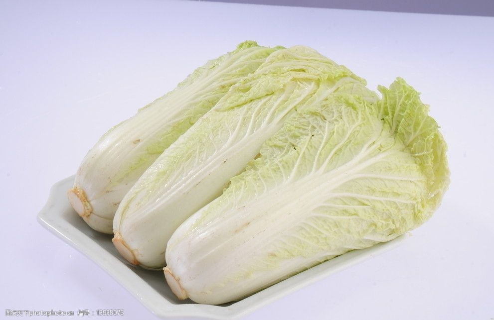 白菜种植浇水技巧大全(白菜种植浇水关键步骤详解)插图1 白菜种植浇水技巧大全(白菜种植浇水关键步骤详解)插图1