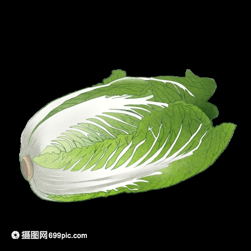 中伏种白菜吗？中伏种白菜的最佳时间及种植技巧-会东网