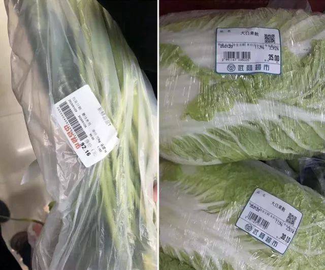 小白菜适合什么温度种植?最佳生长温度全解析插图1 小白菜适合什么温度种植?最佳生长温度全解析插图1