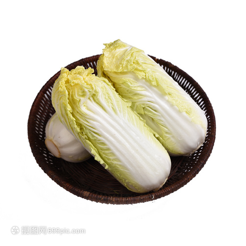 小白菜适合什么温度种植?最佳生长温度全解析插图2 小白菜适合什么温度种植?最佳生长温度全解析插图2