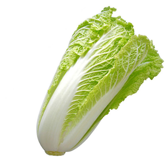 种大白菜多远一颗?专家教你科学种植间距插图2 种大白菜多远一颗?专家教你科学种植间距插图2