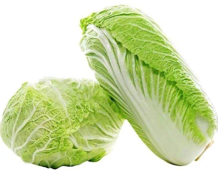 种白菜哪种品种好？5大高产优质白菜品种推荐-会东网