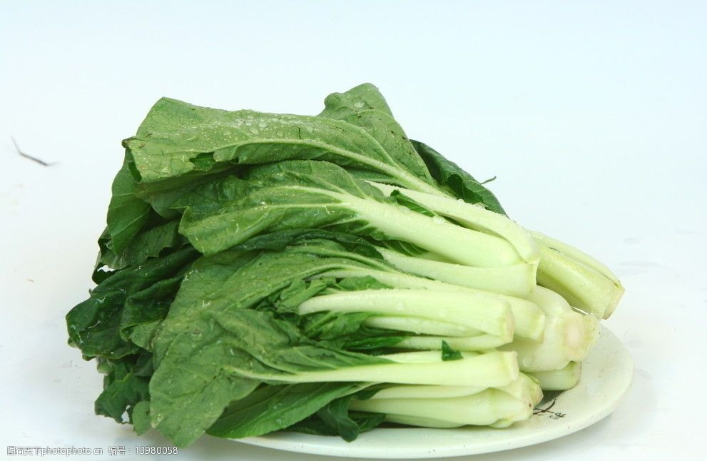 白菜种植栽培管理技术全解析：从选种到收获的完整指南插图2